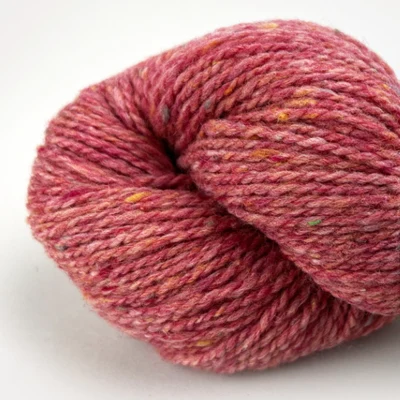 05 Rosa