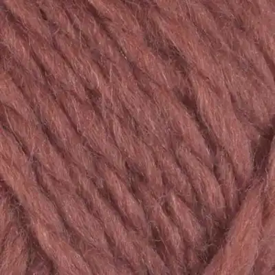 962 Rosa antica