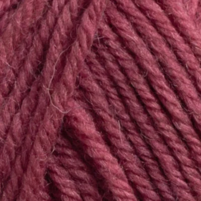 549 Rosa bacche di agrifoglio