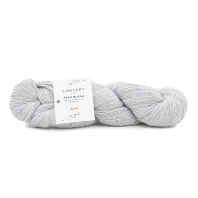 307 Grigio chiaro