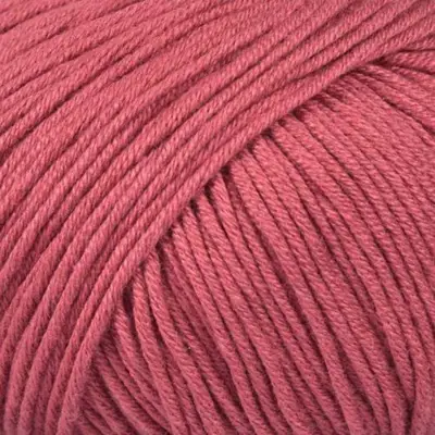 016 Rosa