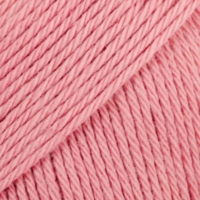 22 Blid rosa