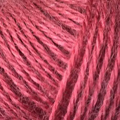 1419 Rosso marsala