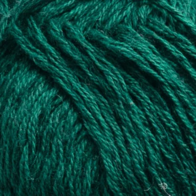 286 Spinaci noir