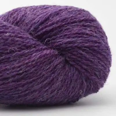 26 Viola