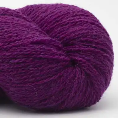 27 Fucsia