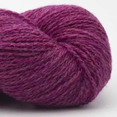 33 Ciclamino