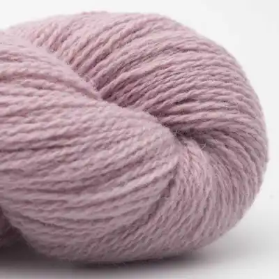 48 Rosa antico