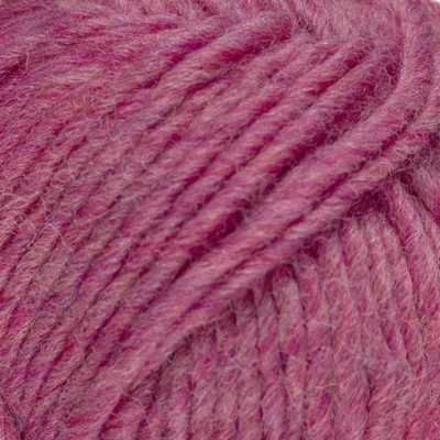 561 Rosa