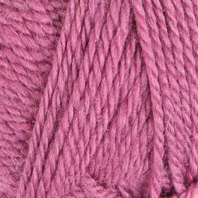 7236 Rosa Selvaggio