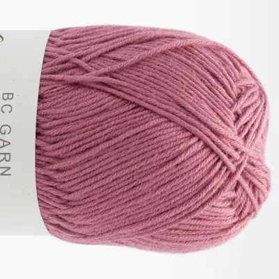04 Rosa antico