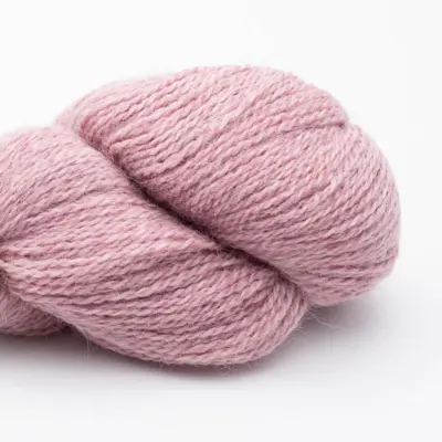 126 Rosa Polveroso RAS