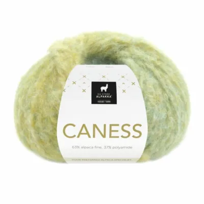 2504 Kiwi caraibico