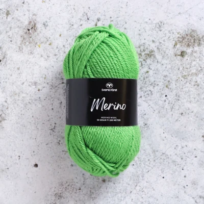 13 Parrocchetto verde