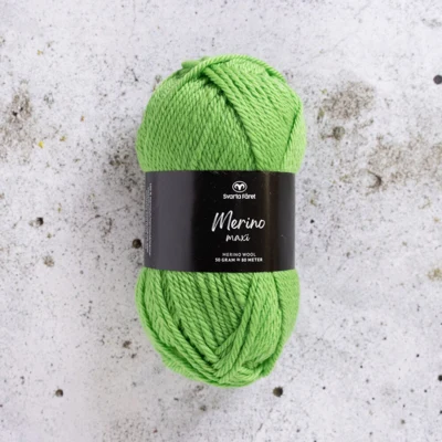 13 Parrocchetto verde