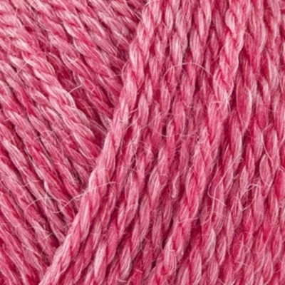813 Rosa