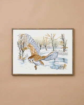 Kit Ricamo Barbagianni 30 x 40 cm