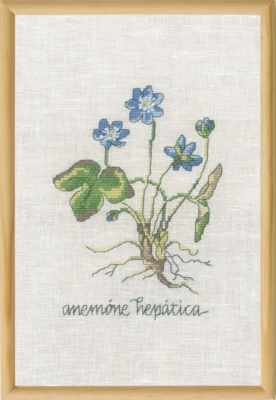 Kit per ricamo Anemone Blu R5799 20 x 30 cm