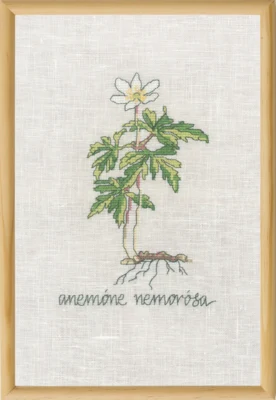 Kit da Ricamo Anemone Bianca R5799 20 x 30 cm