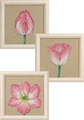 Kit da Ricamo Tulipani in Fasi 3 x 25 x 25 cm